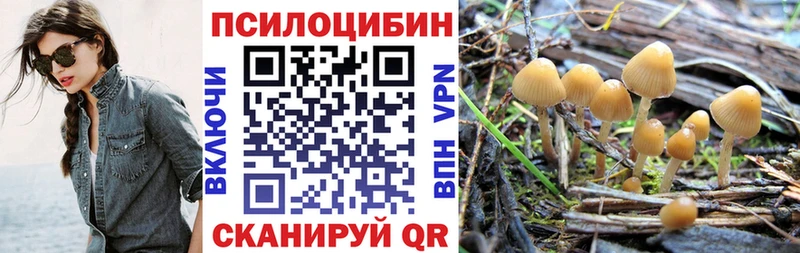 Купить  Онега  Галлюциногенные грибы прущие грибы 