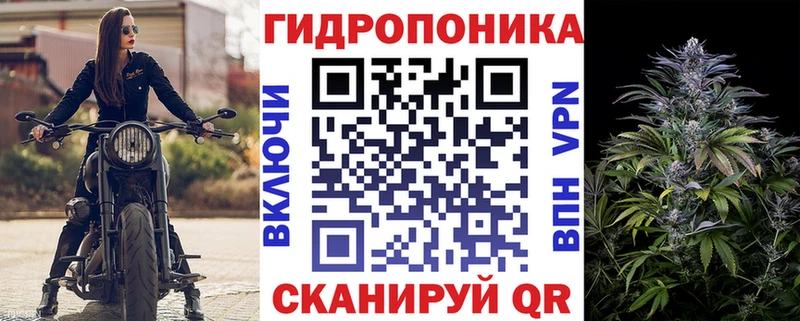 Купить  Онега  Каннабис сатива 